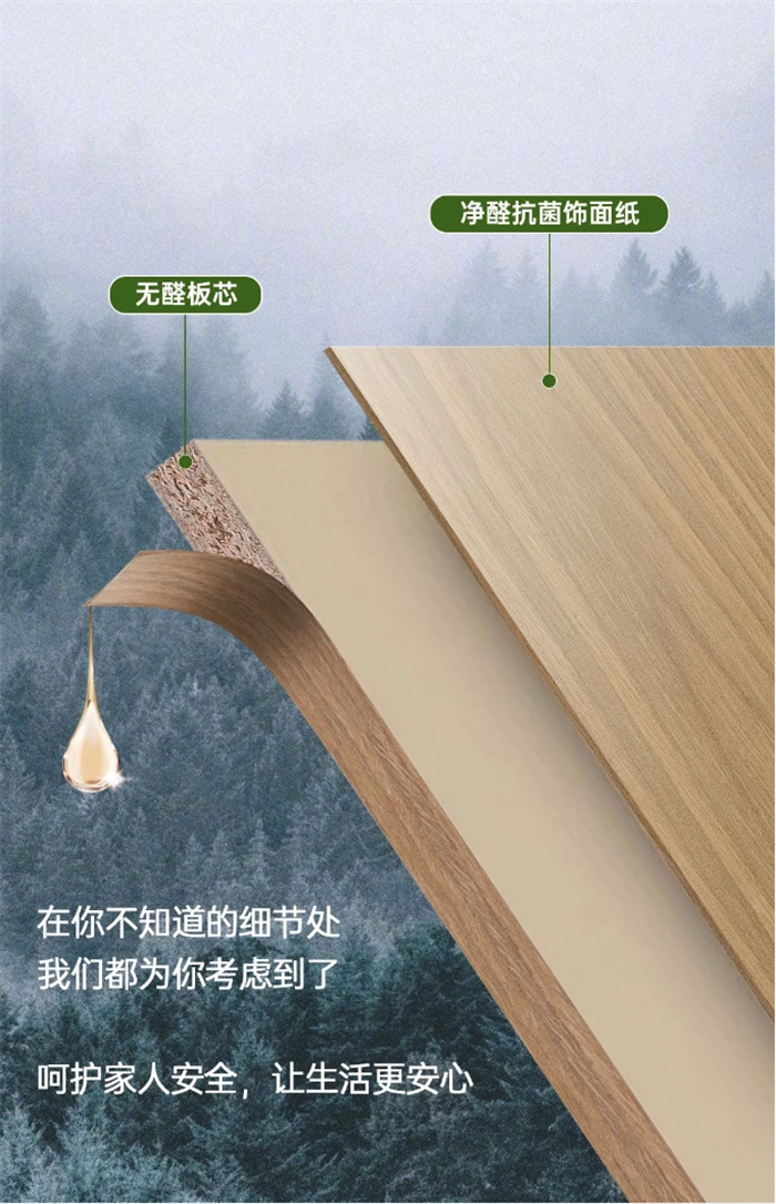 无醛整家定制